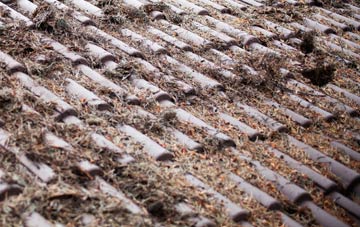 Pottergate Street roof cleaning companies