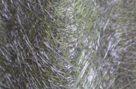 Pottergate Street fibreglass roof work